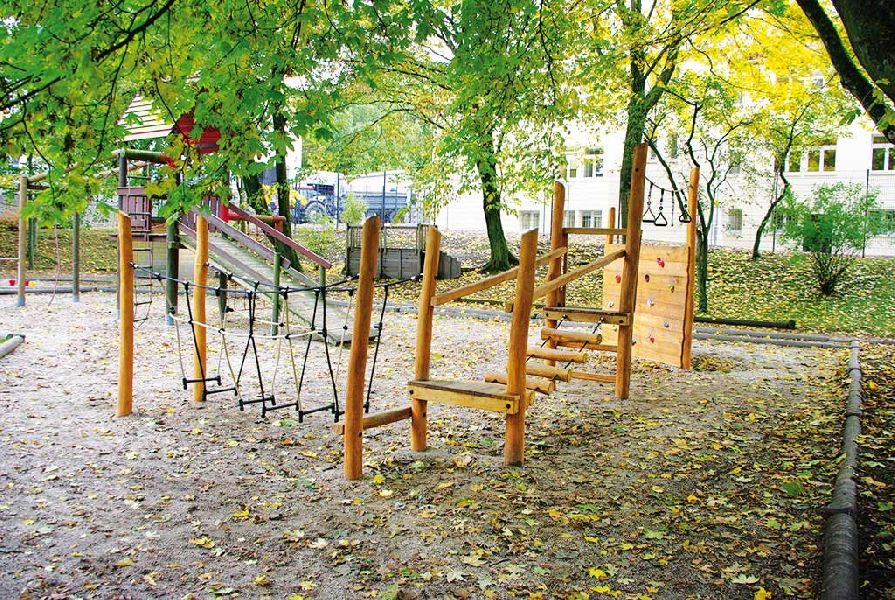 Balancieranlage Brand Erbisdorf, Robinie
